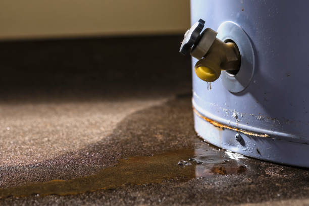 Best Carpet water damage restoration  in Ray City, GA