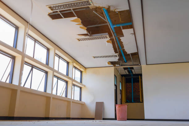 Best Ceiling water damage repair  in Ray City, GA