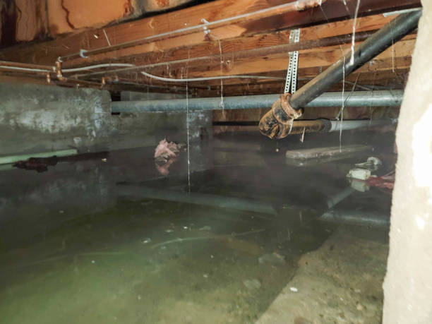 Best Residential water damage restoration  in Ray City, GA