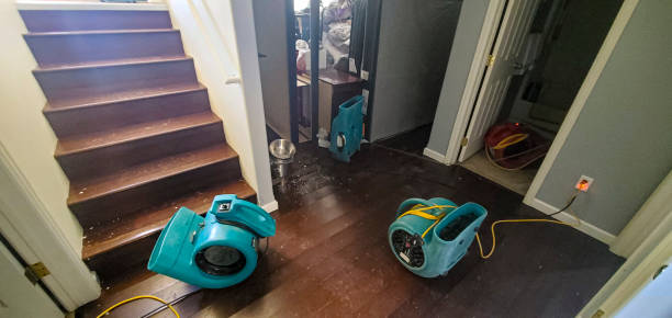  Ray City, GA Water damage restoration Pros