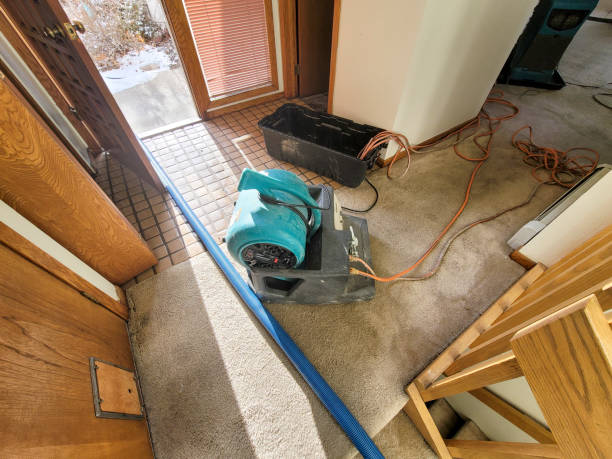 Fire Damage Restoration in Ray City, GA