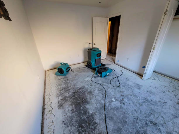 Water damage restoration mold remediation in Ray City, GA