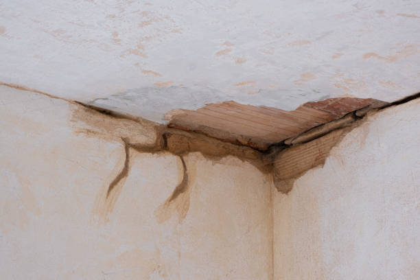 Best Flooded house restoration  in Ray City, GA