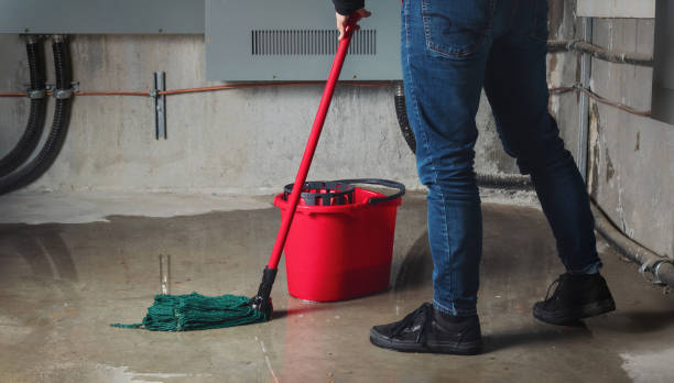 Best Commercial water damage restoration  in Ray City, GA