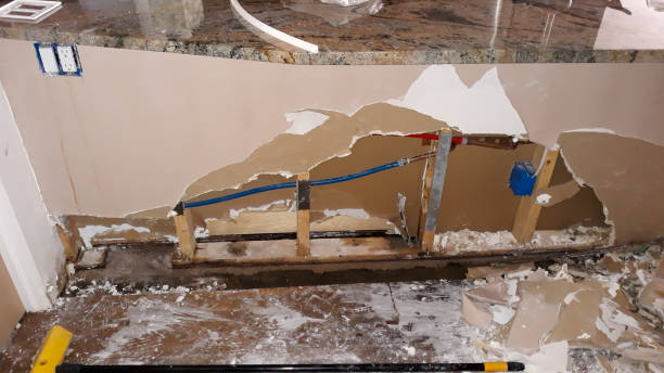 Best Water damage restoration company  in Ray City, GA