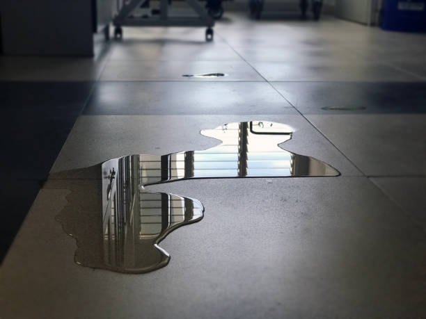 Best Commercial water damage restoration  in Ray City, GA