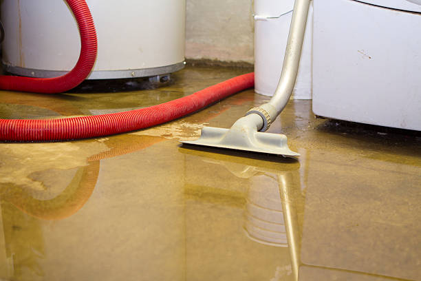 Best Professional water damage repair  in Ray City, GA