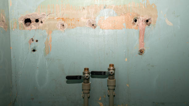 Best Water damage restoration near me  in Ray City, GA