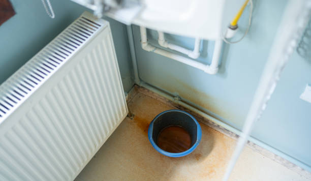 Best Water damage restoration near me  in Ray City, GA