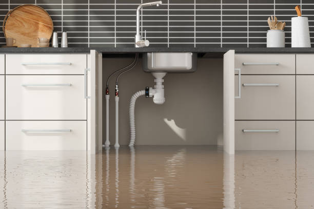 Best Emergency water damage restoration  in Ray City, GA