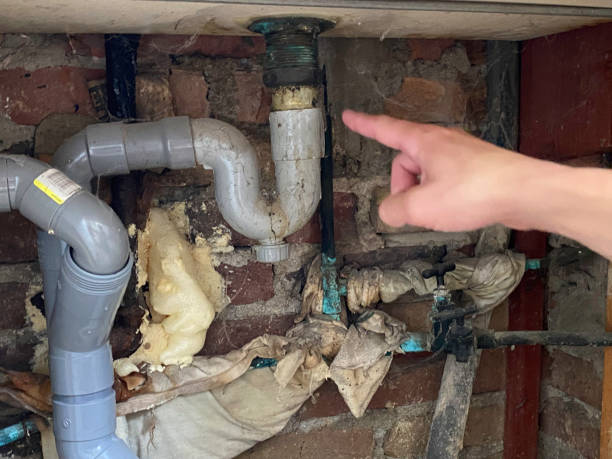 Trusted Ray City, GA Water damage restoration Experts