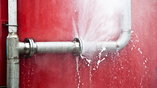 Best Basement water damage restoration  in Ray City, GA