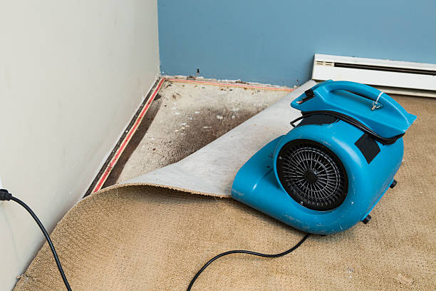 Best Emergency water damage restoration  in Ray City, GA